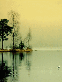 animaciya 240 320 Other 0309.gif